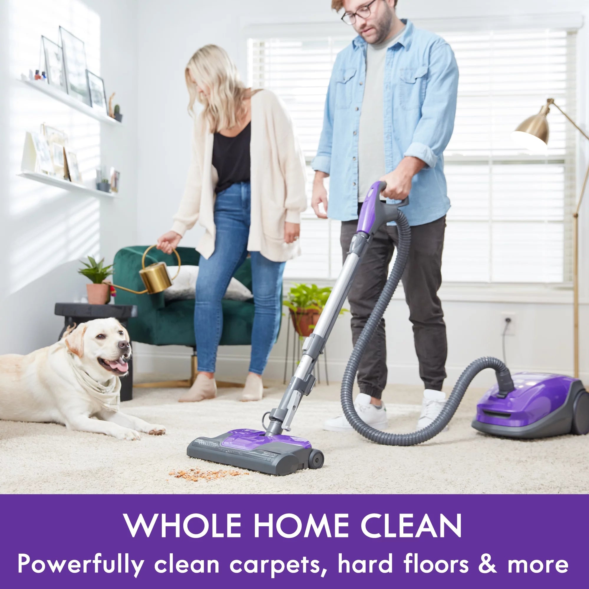 Kenmore 200 Series Pet Friendly HEPA AllergenSeal Bagged Canister Vacuum Cleaner, BC3002